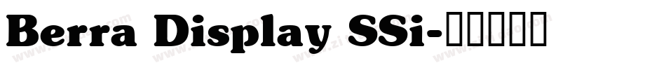 Berra Display SSi字体转换